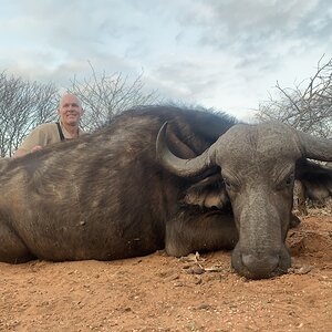 South Africa Hunting Buffalo