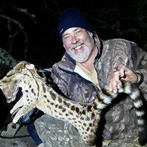 Genet Cat Hunting South Africa