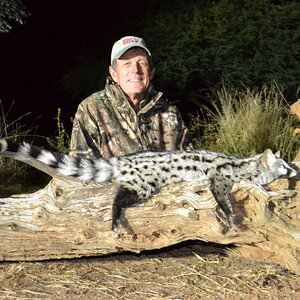 South Africa Hunting Genet Cat