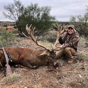 Hunting Red Stag in Texas USA