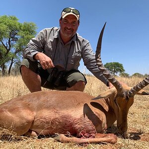 Impala Hunt Caprivi Namibia