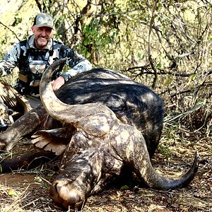 South Africa Bow Hunting Buffalo