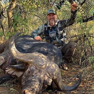 Buffalo Bow Hunting South Africa