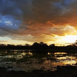 Sunset in Tanzania