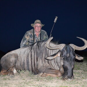 Hunting Blue Wildebeest in South Africa