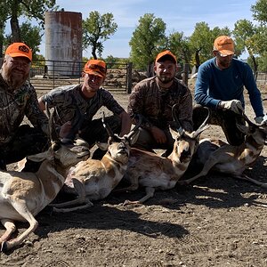 Pronghorn Hunt USA