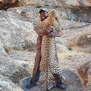 Namibia Hunting Leopard