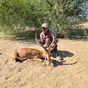 Namibia Hunt Impala