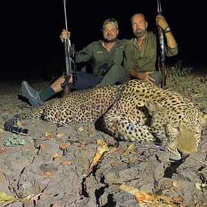 Leopard Hunt Zambia