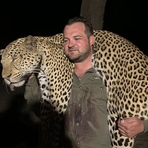 Zambia Hunting Leopard