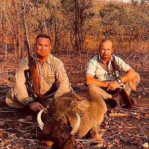 Warthog Hunting Zambia