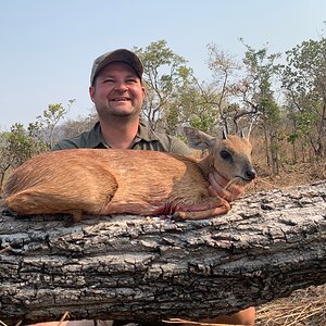 Zambia Hunt Sharpe's Grysbok