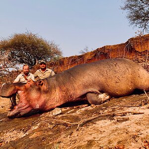 Zambia Hunt Hippo