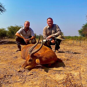 Zambia Hunting Puku