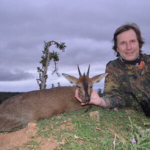 South Africa Hunt Red Duiker