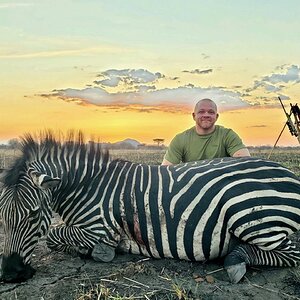 Tanzania Hunting Burchell's Plain Zebra