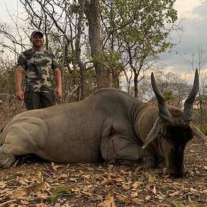 Eland Hunting Tanzania