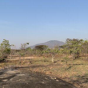 Hunting Area Tanzania