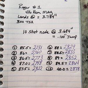 Ruger #1 416 Rem Mag Load Performance