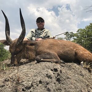 Hunting Bushbuck in Zambia