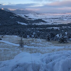 Hunting Area in Montana USA