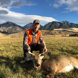 Montana USA Hunt White-tailed Deer
