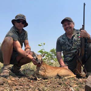 Sharpe's Grysbok Hunting Zimbabwe