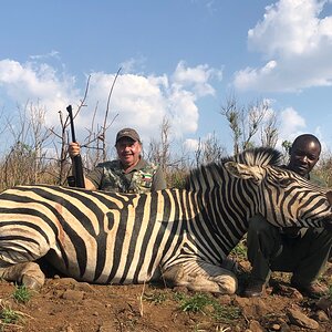 Hunting Burchell's Plain Zebra in Zimbabwe