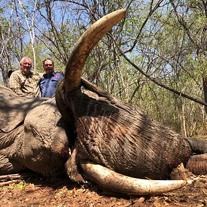 Hunt Elephant in Zimbabwe