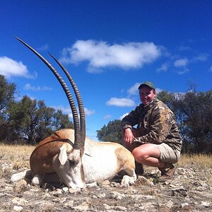 Hunt Scimitar Oryx in South Africa