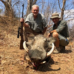 Warthog Hunting South Africa