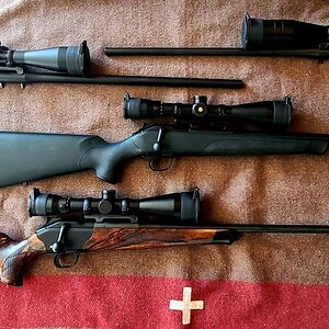 Blaser Rifles