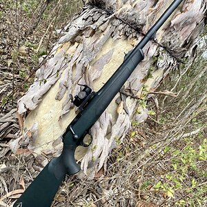 Blaser R8 500 Jeffery Rifle