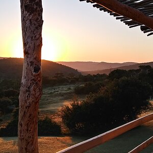 View from the Lodge