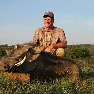 Hunting Warthog in South Africa