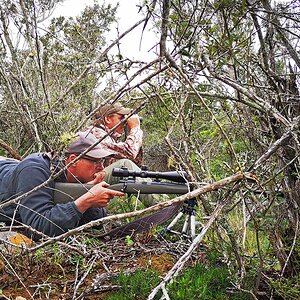 Glassing Game & Hunting South Africa