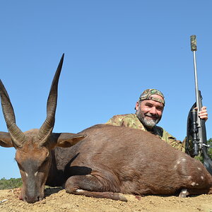 Bushbuck Hunting South Africa