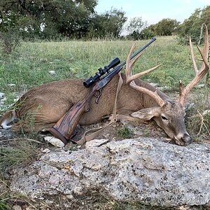 Great Hill Country Buck  Photo #1