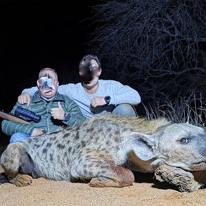 Hunt Spotted Hyena in South Africa