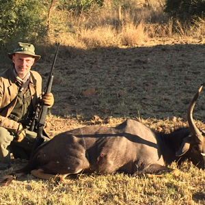 South Africa Hunting Nyala