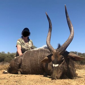 Hunting Nyala in South Africa