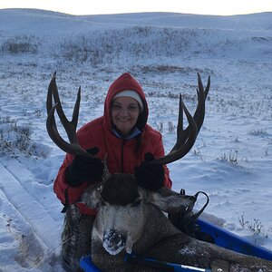 Hunt Mule Deer in Canada