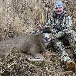 Sitka Blacktail Deer Hunt Alaska USA