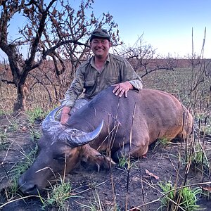 Hunting African Forest Buffalo in Congo