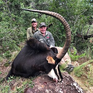 Hunt Sable Antelope in South Africa