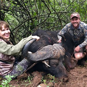 South Africa Hunting Buffalo