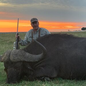 Hunting Buffalo