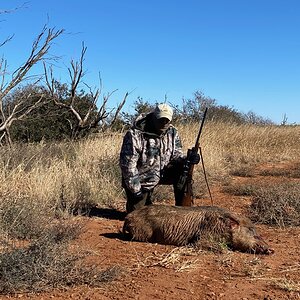 Feral Hog Hunting Texas USA