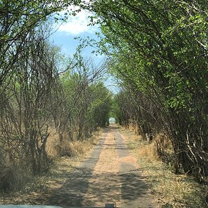 Hunting Area Zimbabwe