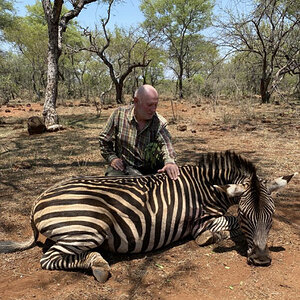 Chapman's Zebra Hunt Zimbabwe